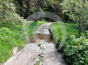 A stream or smaller river can be overcome by means of a ford which is a natural place where there are river sedges, islets and the photo