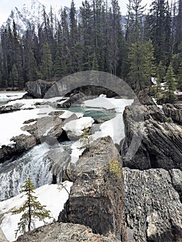 Stream with snow covered rocks and waterfall - Rocky Mountains