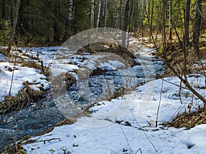 The stream of snow melt in the forest.