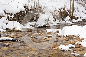 Stream in the snowy mountains. Mountain river. Carpathians. Ukraine. Selective focus.