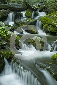 Stream, Spring Landscape, Great Smoky Mtns NP