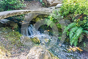 Stream And Stone Bridge