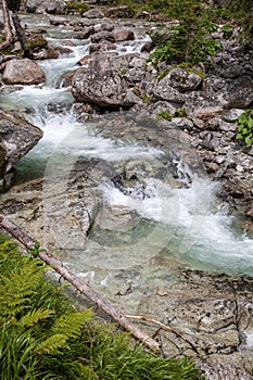 Stream Studeny potok in High Tatras, Slovakia