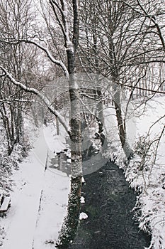 Stream surrounded by trees and roads covered in snow during storm Emma.