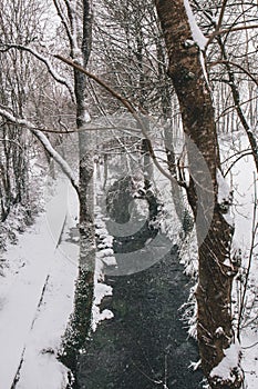 Stream surrounded by trees and roads covered in snow during storm Emma.