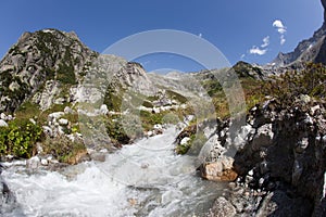 Stream in the Swiss mountains during summer