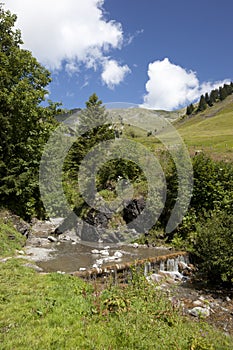 Stream in the Swiss mountains during summer