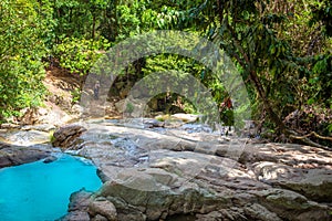 Stream in the tropical forest