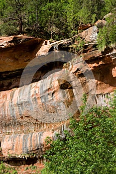 Stream tumbles into Emerald Pools, Zion National Park