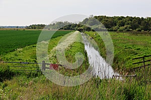 Stream, Upton Marsh, Upton Great Broad, Norfolk Broads, Upton, near Acle, Norfolk, England, UK