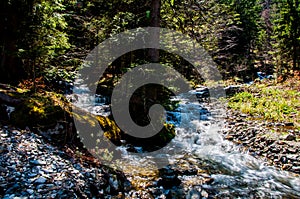 Stream on the Vranica