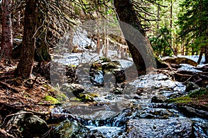 Stream on the Vranica