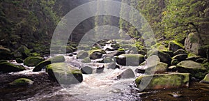 Stream of Vydra river