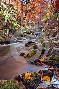 Stream of water in the autumn period between the Italian Apennines photo