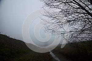 Stream of water with a bare tree on its side next to embankments on a foggy day in the italian countryside in autumn