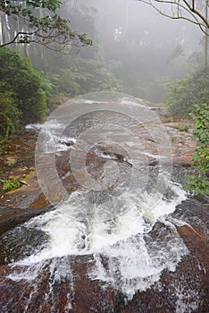 Stream with Water Flow going away in Misty Forest, Kerala, India