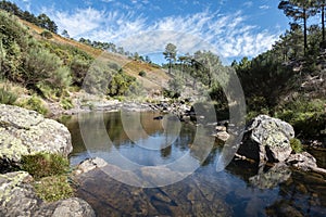 Stream of water flowing down the mountain