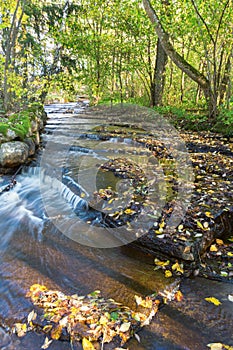 Stream with water flowing over shale stone in the forest