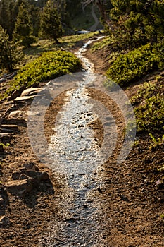 Stream Of Water Flows Down The Trail To Garfield Peak In Crater Lake