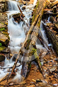 A stream of water flows over a pile of logs
