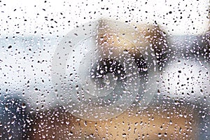 Stream of water in heavy rain. Raindrops on window pane