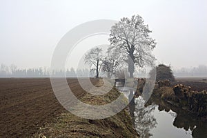 Stream of water that leads to a group of trees and a small bridge on a foggy day in the italian countryside