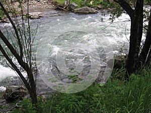 A stream, of water in a mountain river rages in the forest among the rocks in the Altai