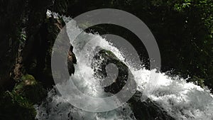 Stream of the water move down and hits the rock. Forest. Summer. Waterfall