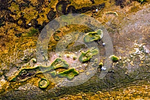 Stream of water with mysterious, vibrant sulphuric algae growth below surface