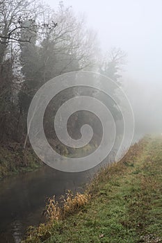 Stream of water next to a forest on a foggy day in the italian countryside