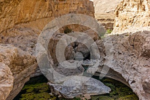 A stream of water in the rocky desert of Oman flowing in a canyon to the oasis of Wadi Bani Khalid - 8