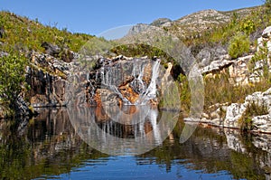 stream and waterfall fynbos landscape, proteas, restios and ericas in the natural beauty of the western cape, south africa