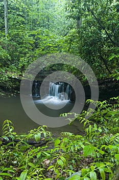 Stream & Waterfalls, Greenbrier, Great Smoky Mountains NP