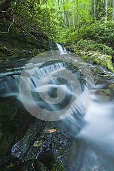 Stream & Waterfalls, Greenbrier, Great Smoky Mountains NP