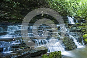 Stream & Waterfalls, Greenbrier, Great Smoky Mountains NP