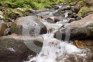 Stream on way to Hoverla, the highest Ukrainian mountain, in cloudy summer day