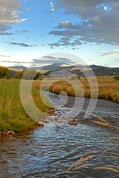 Stream winding through meadow