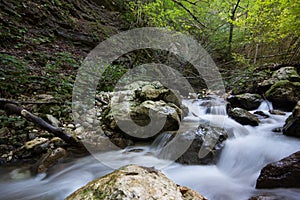 Stream in the woods of sibillini park