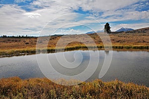 The stream in Yellowstone national park