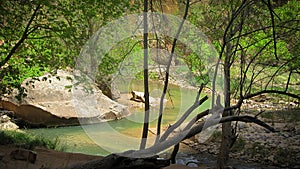 A Stream in Zion national Park by dusk