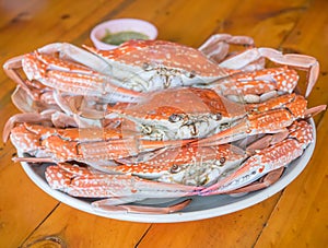 Streamed blue crab
