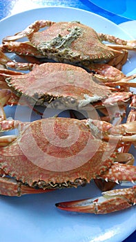 Streamed crabs delicious menu