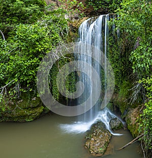 Streaming cascade water in green forest