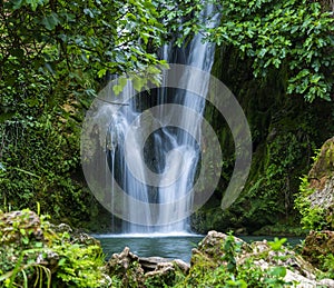 Streaming cascade water in green forest