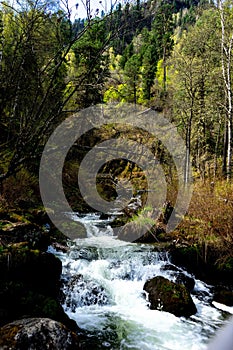 Streaming mountain river in the autumn forest