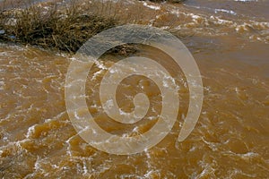 Streaming strong current on river at spring flood, high water.