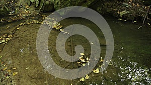 Streaming water in Bechir`s Creek near Soroca, Moldova