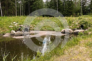 Streaming water in a buffer pond at a water treatment wetland in Finland