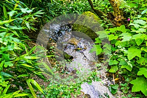 Streaming water over rocks in a tropical garden, exotic nature background