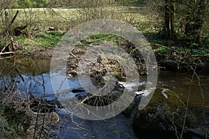 Streaming water surrounded by plants during the daytime